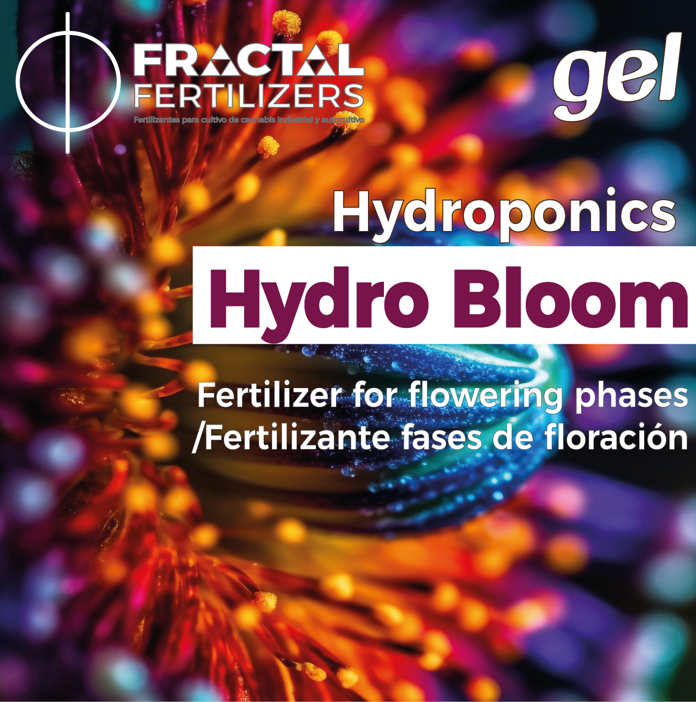 FLOR HIDRO