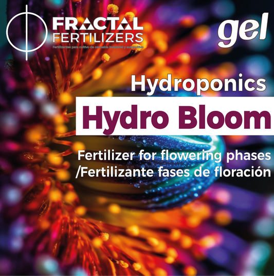 FLOR HIDRO